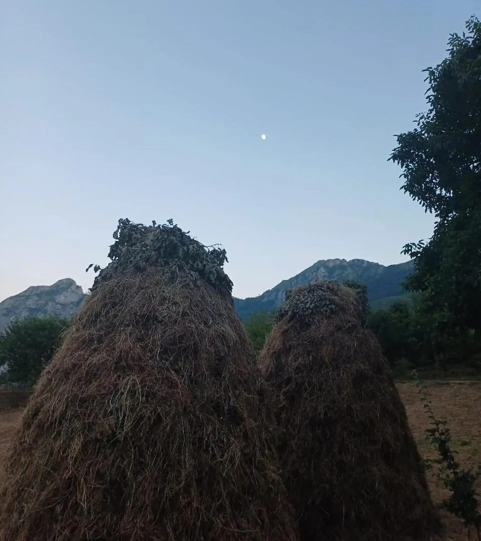 Lulebore Guesthouse Lekbibaj Guest house