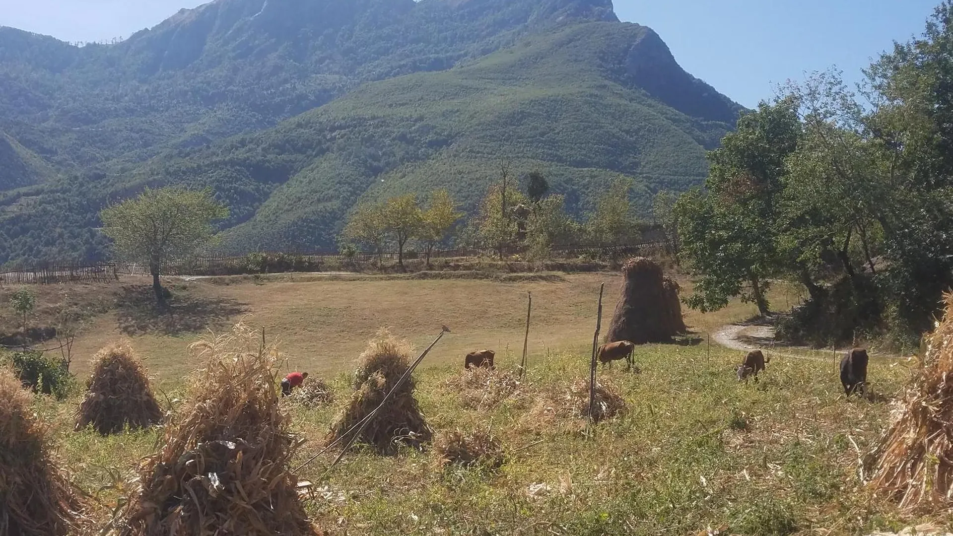 Lulebore Guesthouse Lekbibaj Albania
