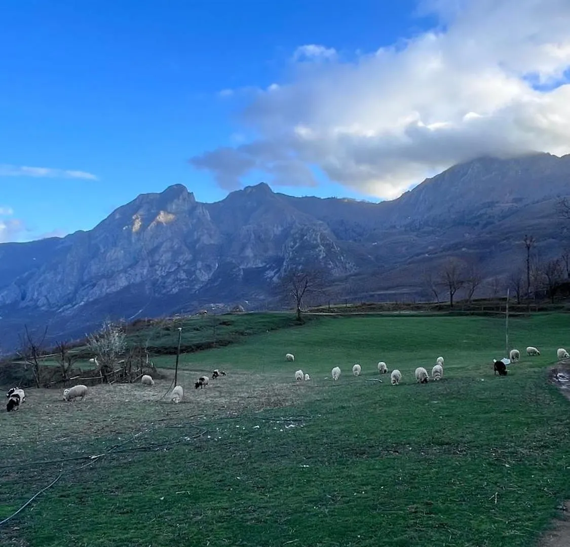 Lulebore Guesthouse Lekbibaj Albania